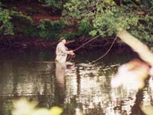 Trout Fishing